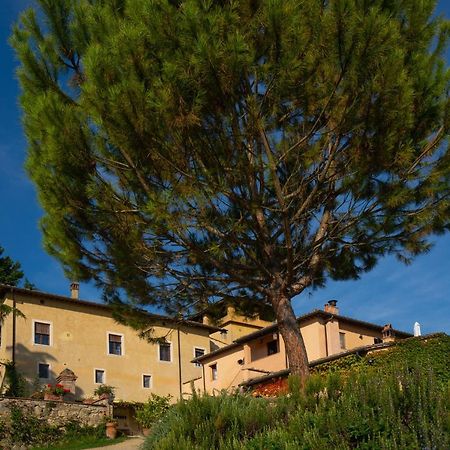Torraccia Di Chiusi Agriturismo Relais San Gimignano Buitenkant foto