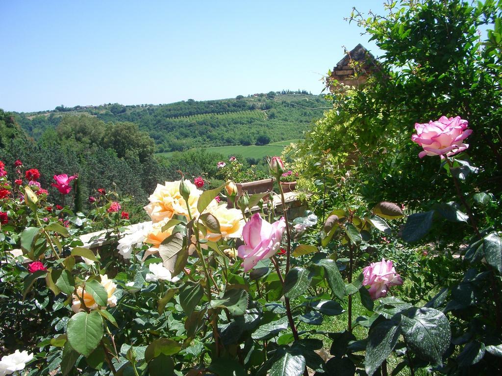 Torraccia Di Chiusi Agriturismo Relais San Gimignano Buitenkant foto
