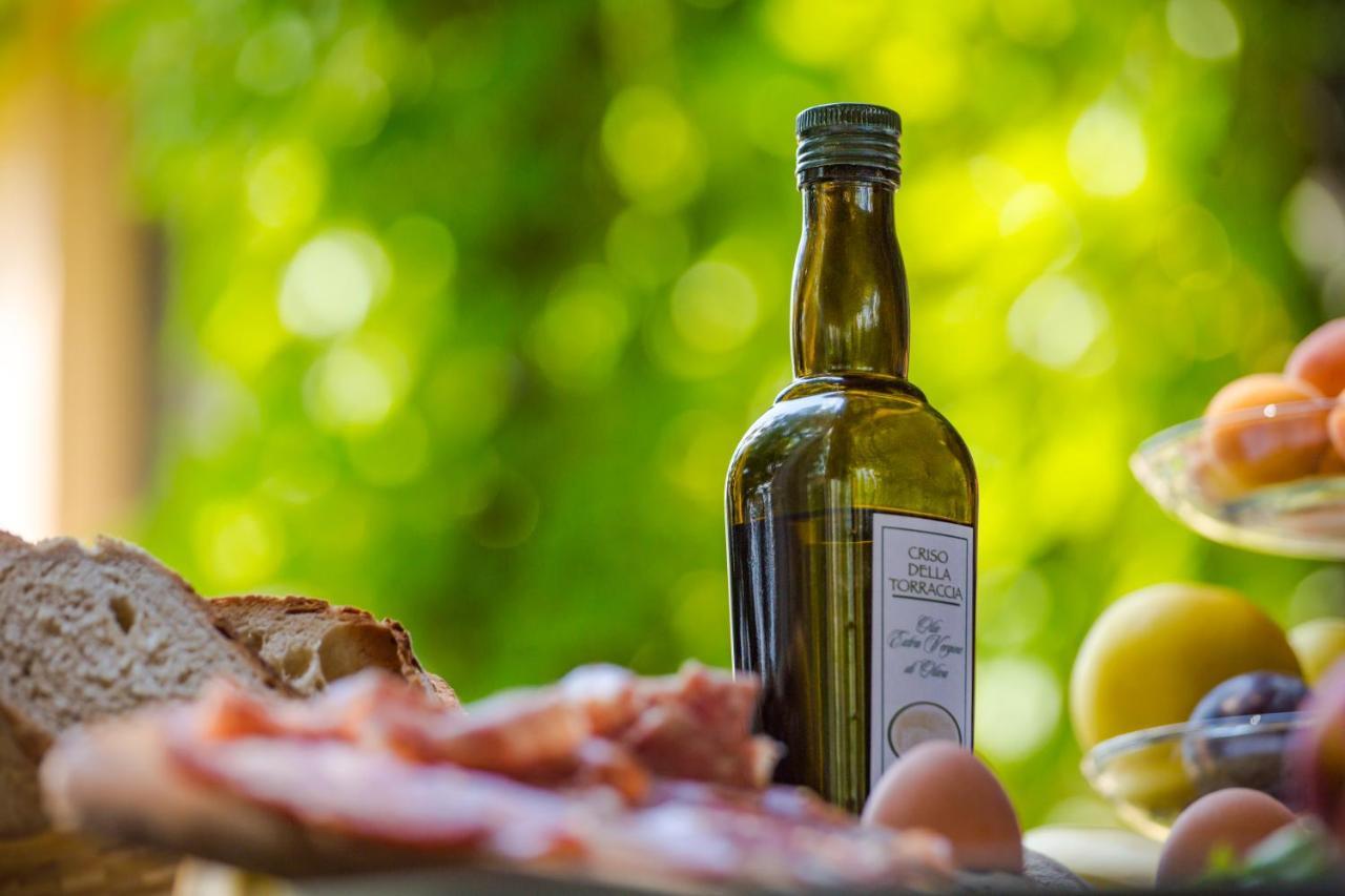 Torraccia Di Chiusi Agriturismo Relais San Gimignano Buitenkant foto