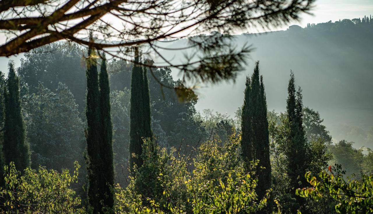 Torraccia Di Chiusi Agriturismo Relais San Gimignano Buitenkant foto
